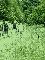DSCF4279.jpg